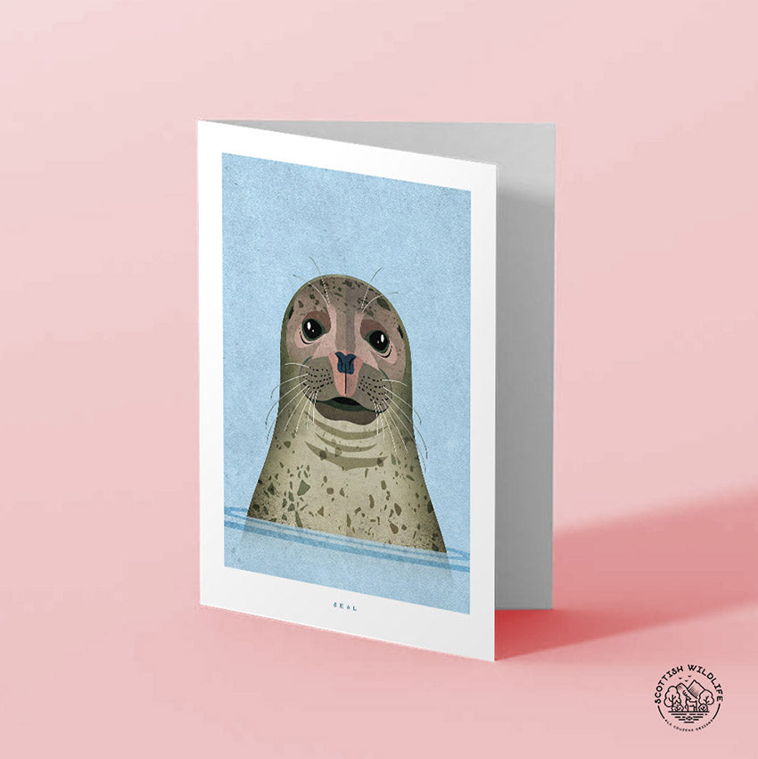 Grey seal card