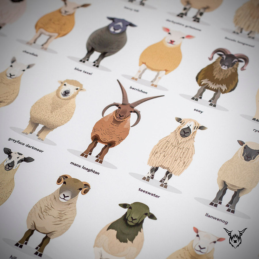 The Ultimate Sheep Breeds Poster