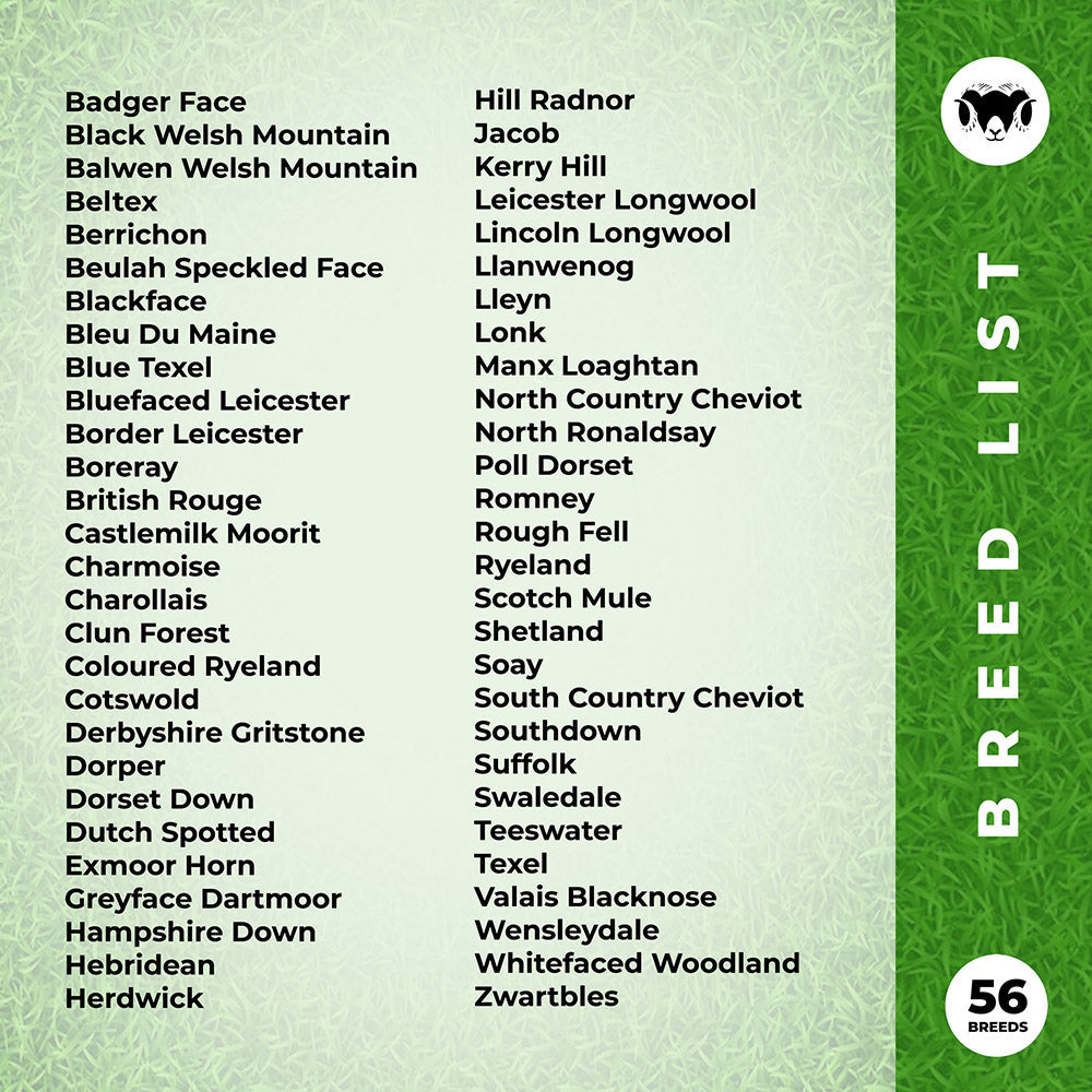 The Ultimate Sheep Breeds Poster