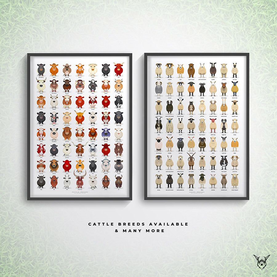 The Ultimate Sheep Breeds Poster