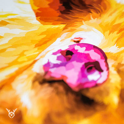 tamworth pig painting