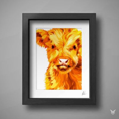 baby highland cow picture