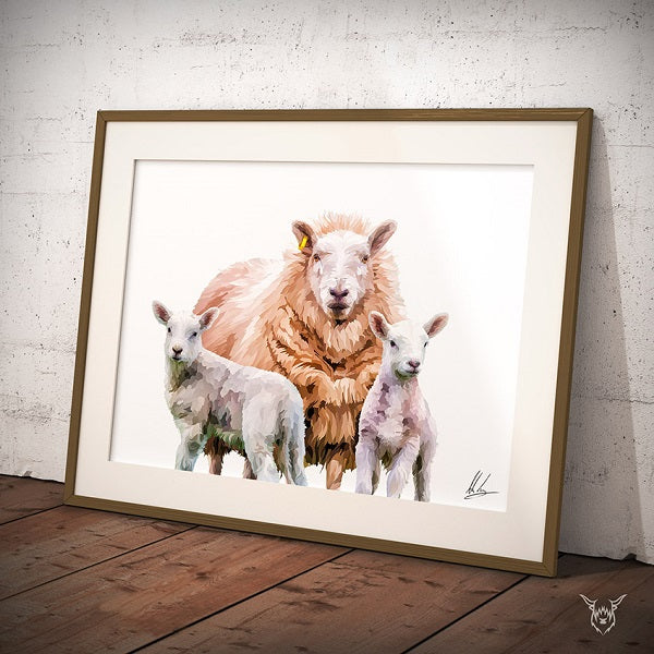 Texel Cheviot Sheep and lamb painting