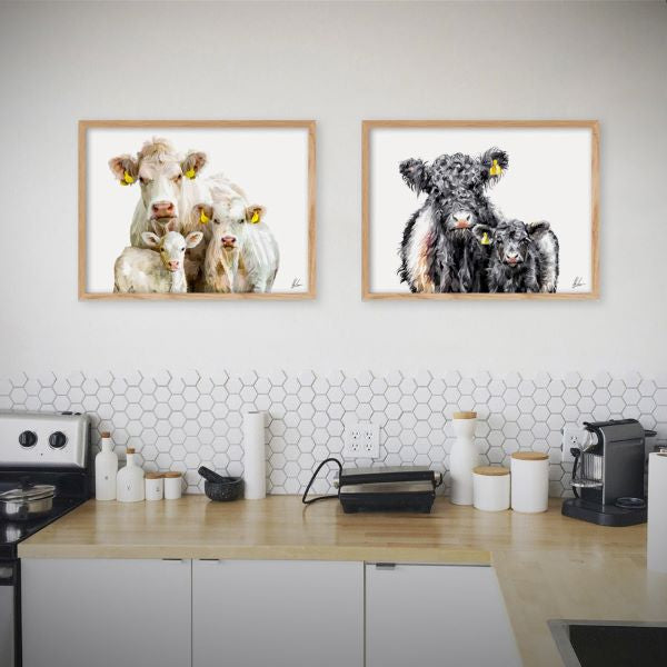 charolais cattle art print