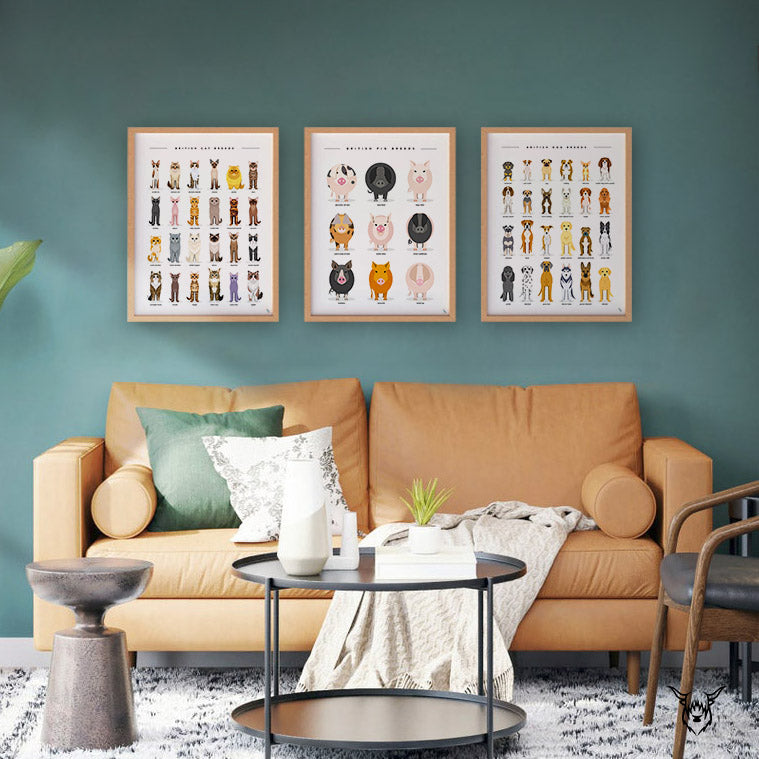animal posters