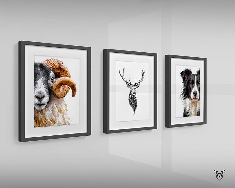 modern farm animals art prints